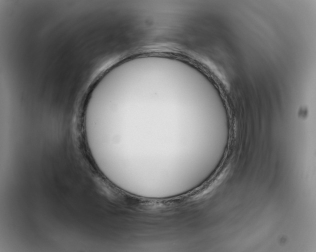 X0000103161405200808221141