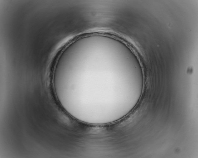 X0000103161406200808221141