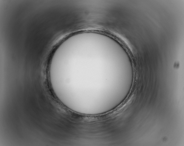 X0000103161407200808221141