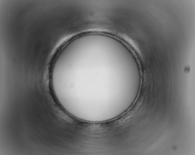 X0000103161408200808221141