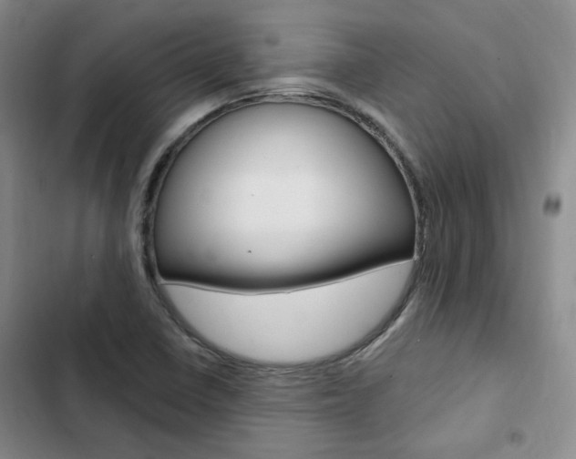 X0000103161410200808221141
