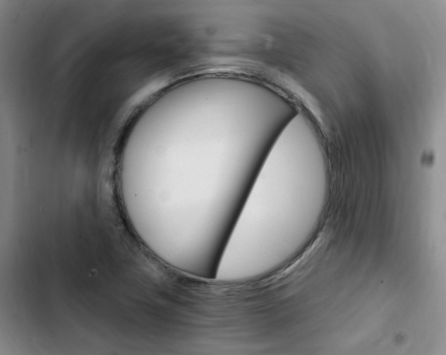 X0000103161411200808221141