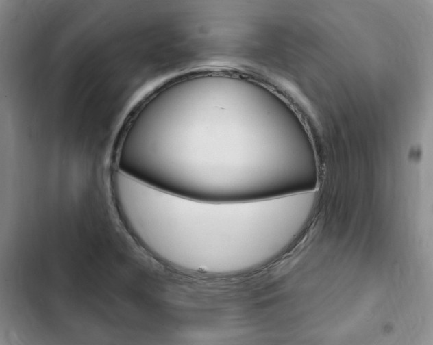 X0000103161412200808221141