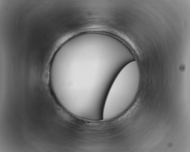 X0000103161413200808221141