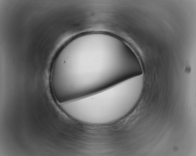 X0000103161416200808221141
