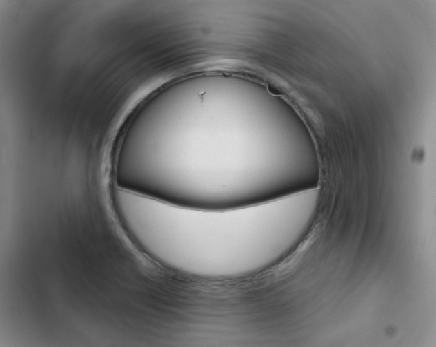 X0000103161418200808221141