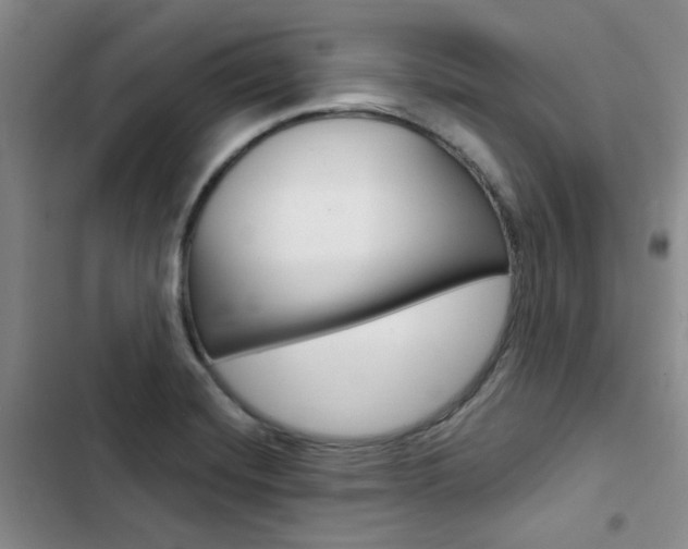 X0000103161420200808221141