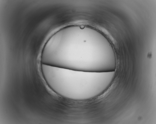 X0000103161421200808221141