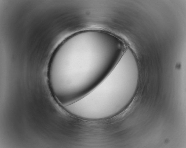 X0000103161422200808221141