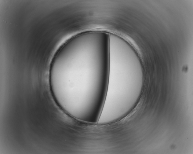 X0000103161424200808221141