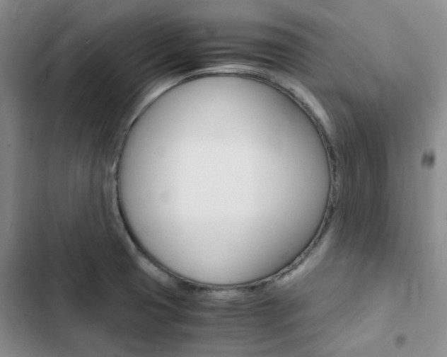 X0000103161425200808221141