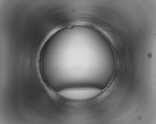 X0000103161426200808221141