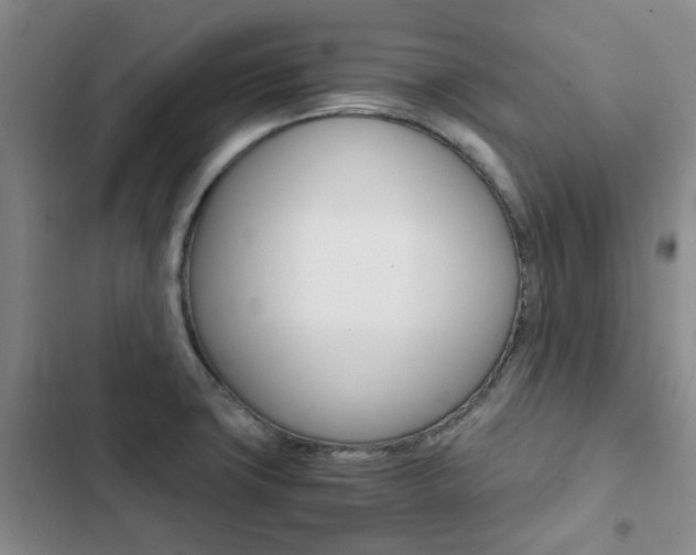 X0000103161427200808221141