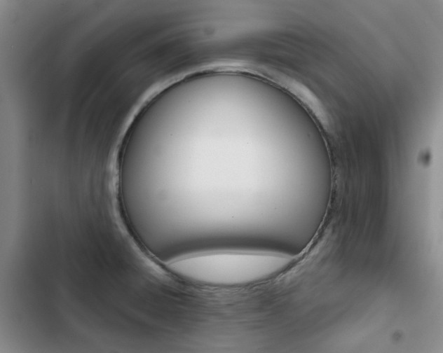 X0000103161428200808221141