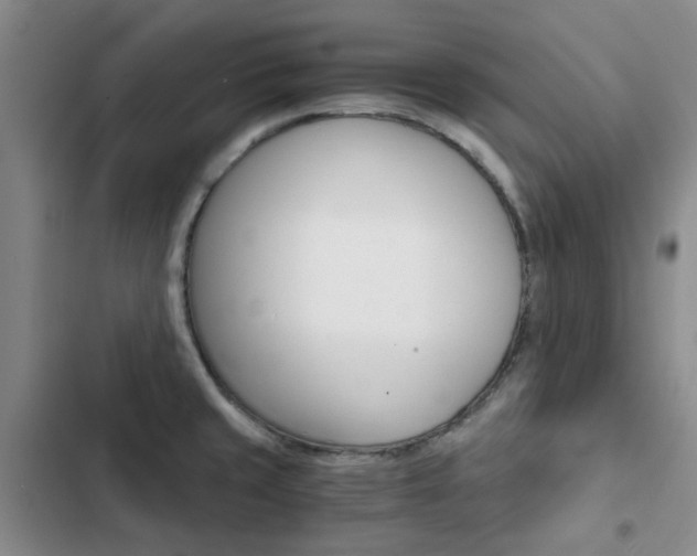 X0000103161429200808221141