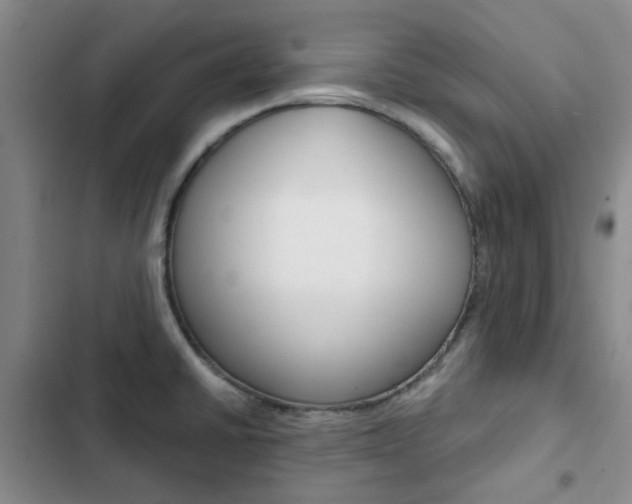 X0000103161430200808221141