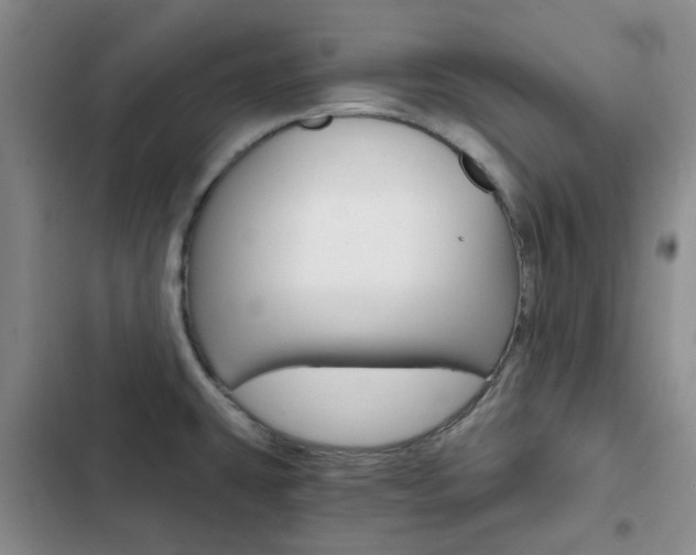 X0000103161431200808221141