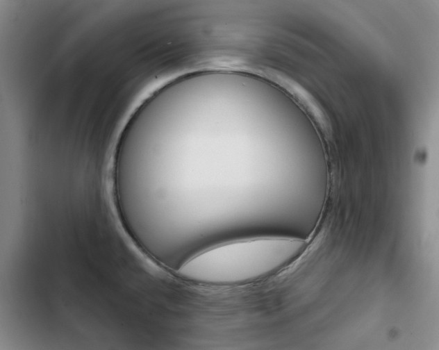 X0000103161432200808221141