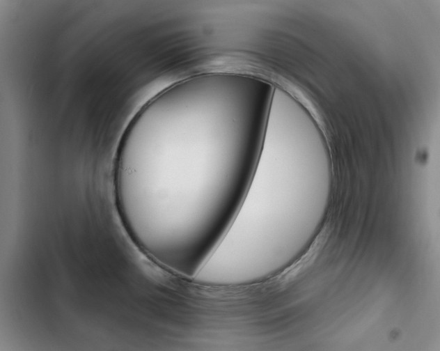X0000103161434200808221141