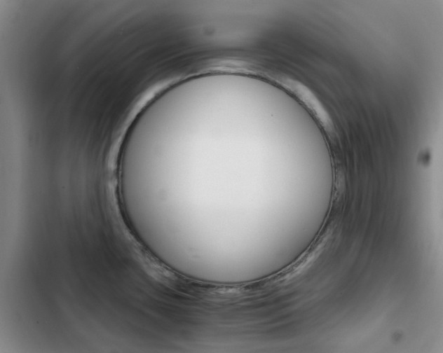 X0000103161435200808221141