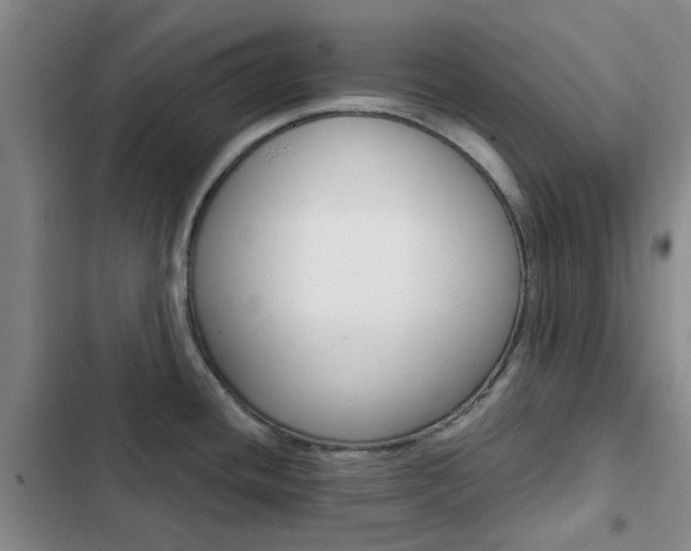 X0000103161436200808221141