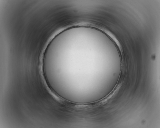 X0000103161437200808221141