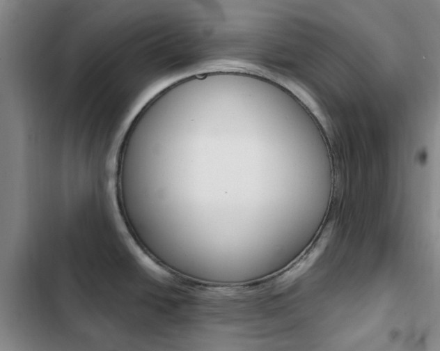 X0000103161438200808221141