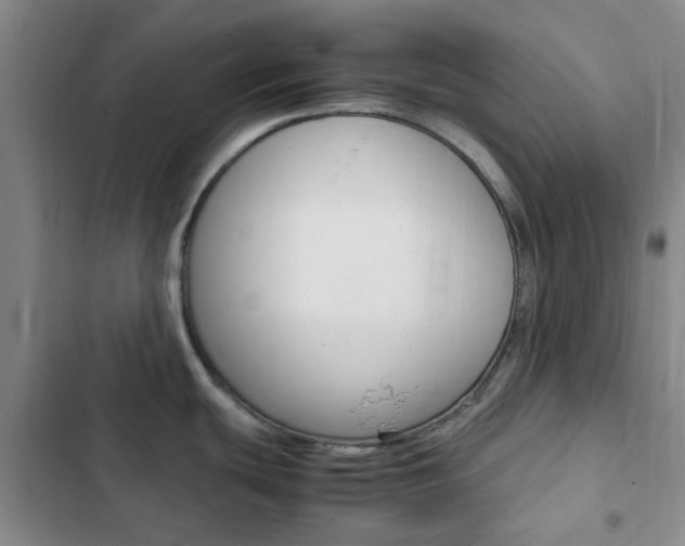 X0000103161439200808221141