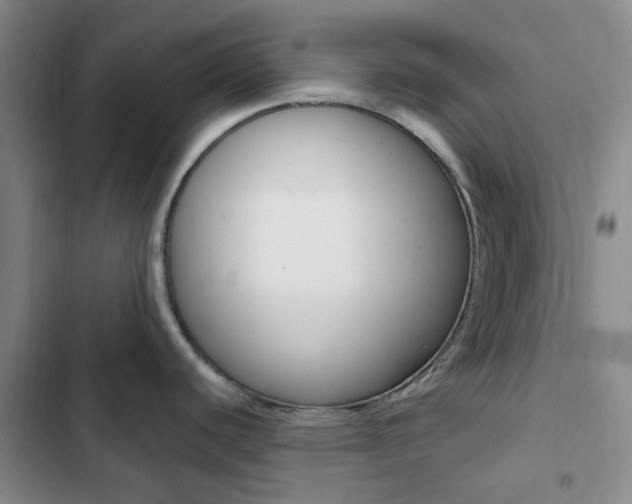 X0000103161440200808221141