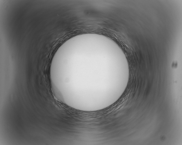 X0000103161441200808221141