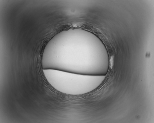 X0000103161443200808221141