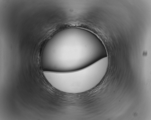 X0000103161444200808221141