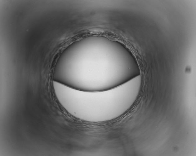 X0000103161445200808221141