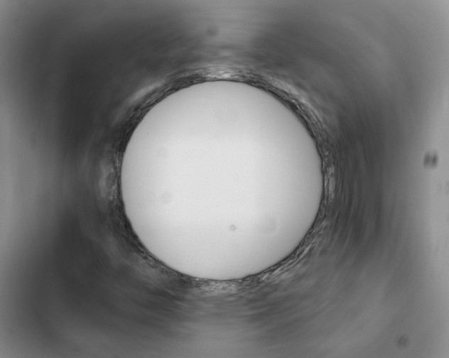 X0000103161446200808221141