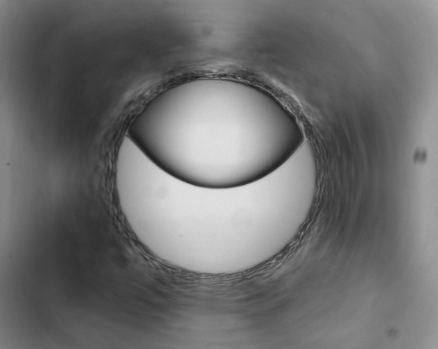 X0000103161447200808221141