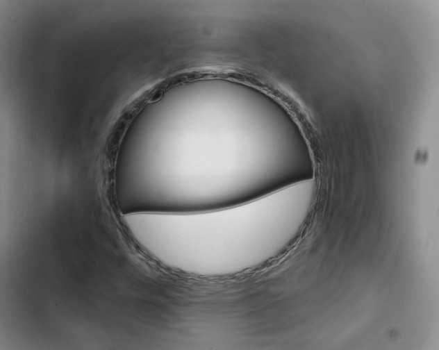 X0000103161448200808221141
