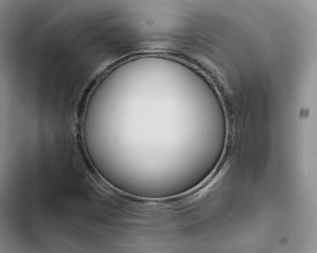 X0000103161449200808221141