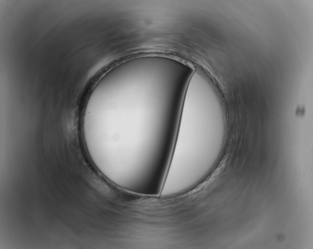 X0000103161450200808221141