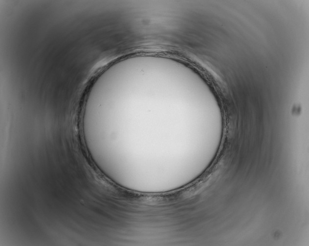 X0000103161451200808221141