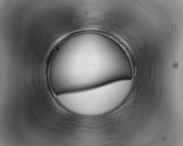 X0000103161452200808221141