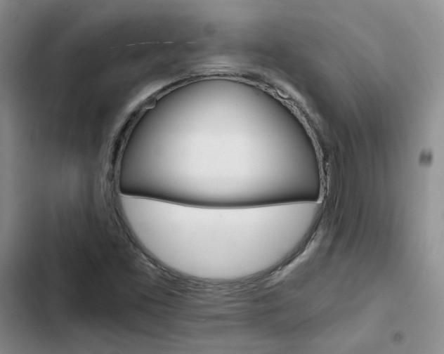X0000103161453200808221141