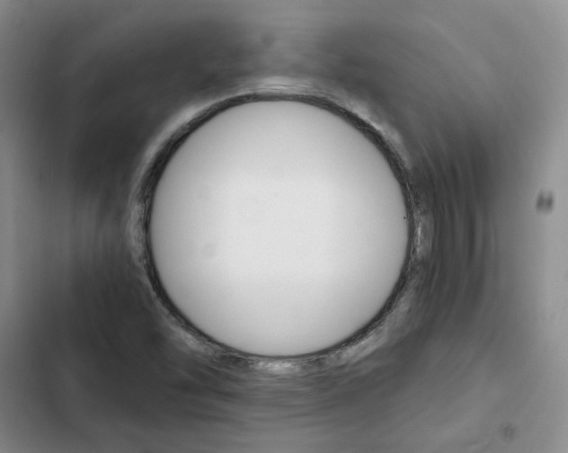 X0000103161454200808221141