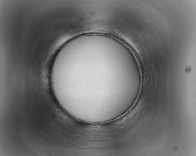 X0000103161455200808221141
