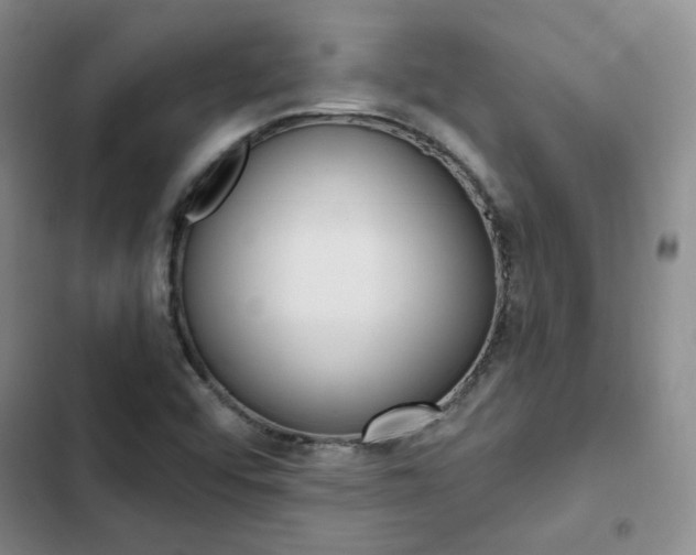 X0000103161456200808221141