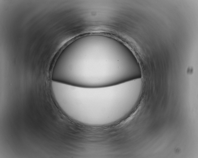 X0000103161457200808221141