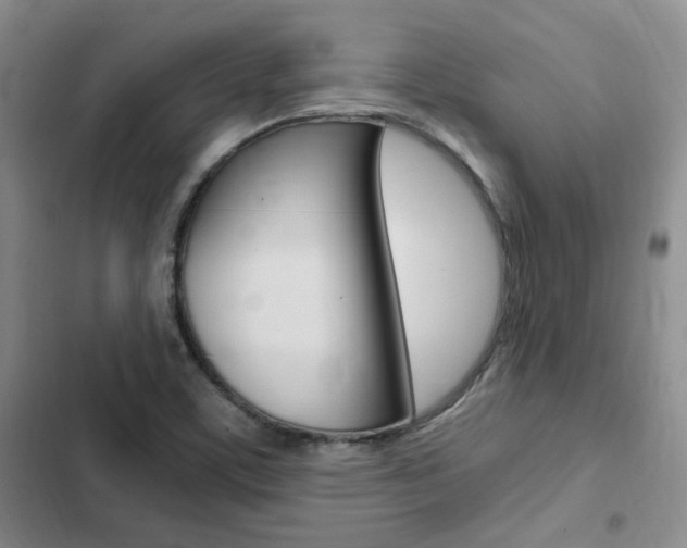 X0000103161459200808221140
