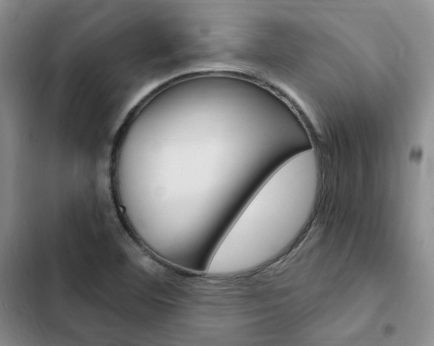 X0000103161460200808221140