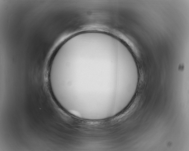 X0000103161462200808221140