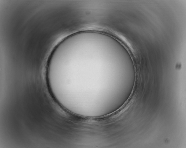 X0000103161463200808221140