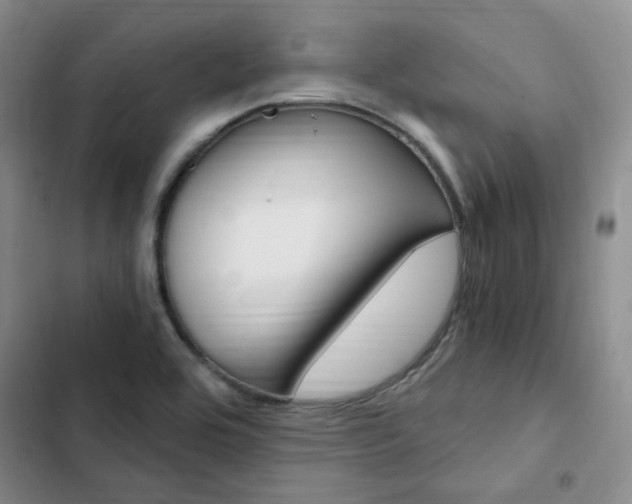X0000103161464200808221140